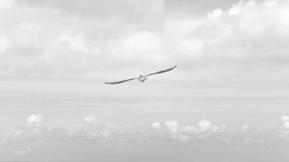 How to Build a $2,000/Month Revenue Stream by Creating & Selling Branded AR Filters on Instagram & TikTok